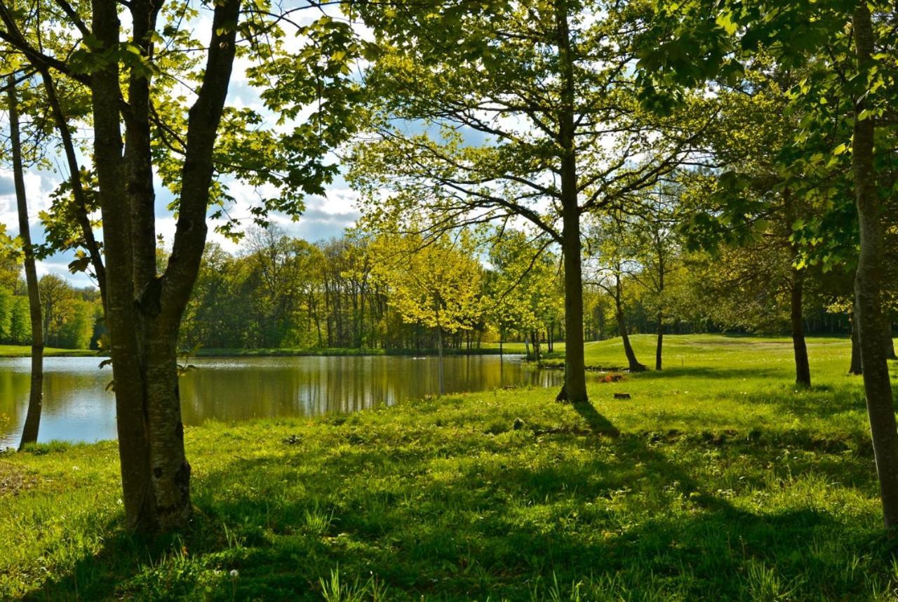 אילאנט-סור-טולון Domaine Du Roncemay - Hotel, Restaurants, Spa & Golf מראה חיצוני תמונה